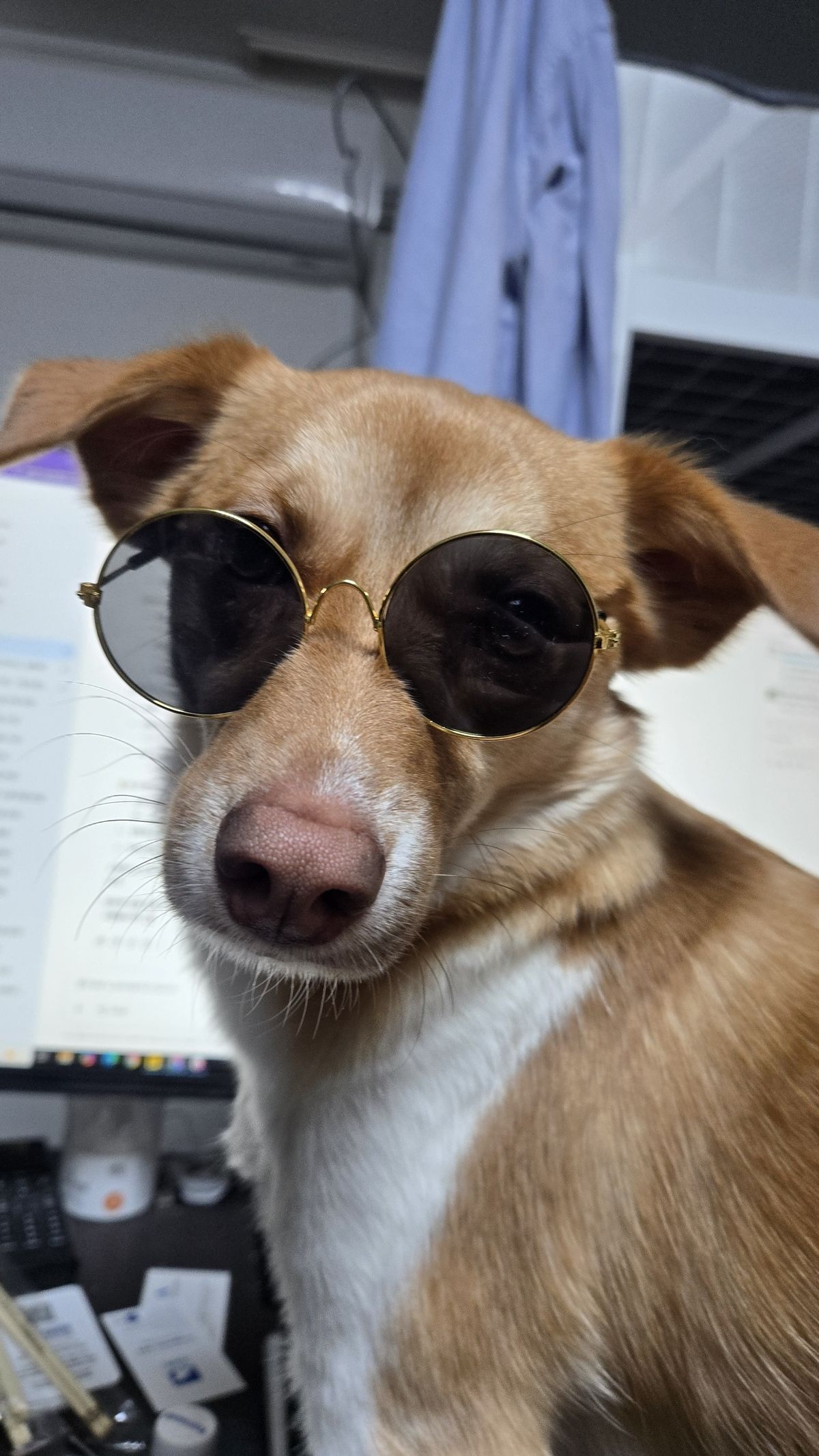 악세사리를 입은 유키