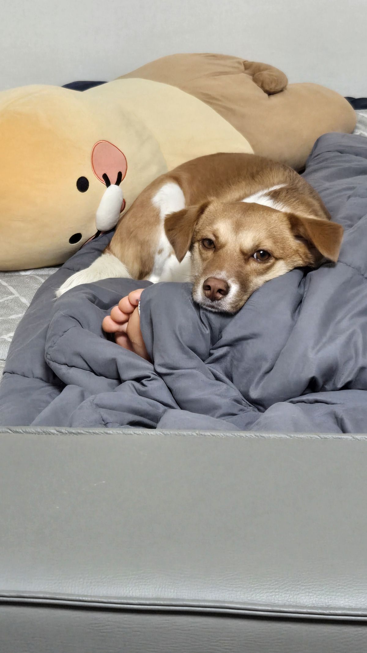 뒤에서 쳐다보는 유키